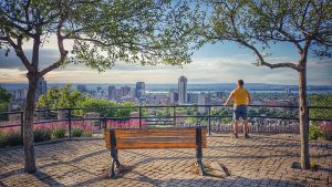 Evening Sun in Sam Lawrence Park by Ashley Garber